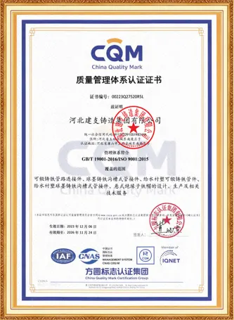 ISO9001 Certificate