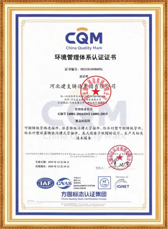 ISO14001:2015 Certificate