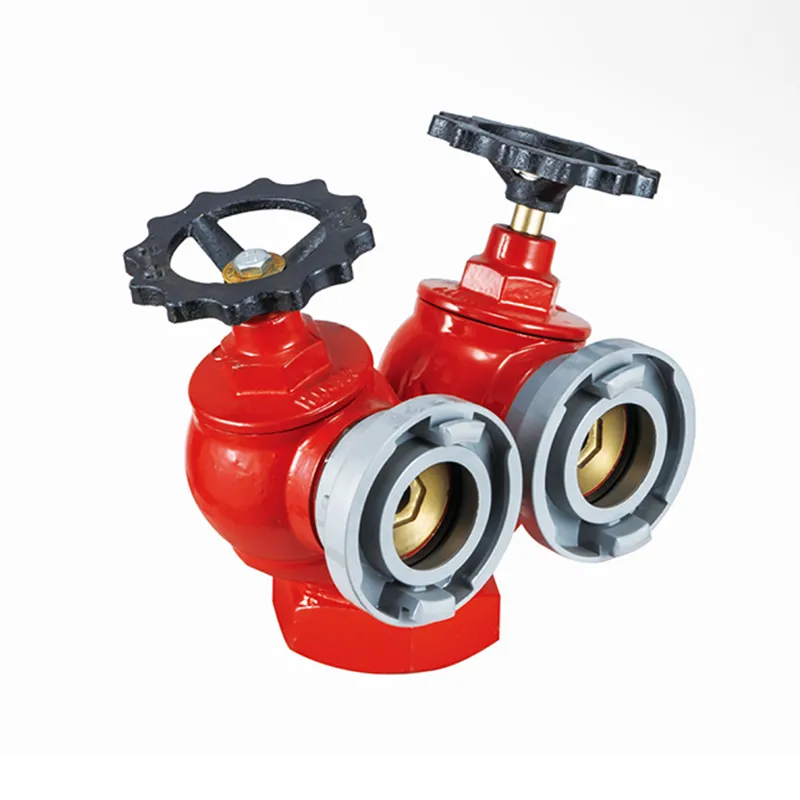 Indoor Fire Hydrant (Double Valve and Double Outlet Type)